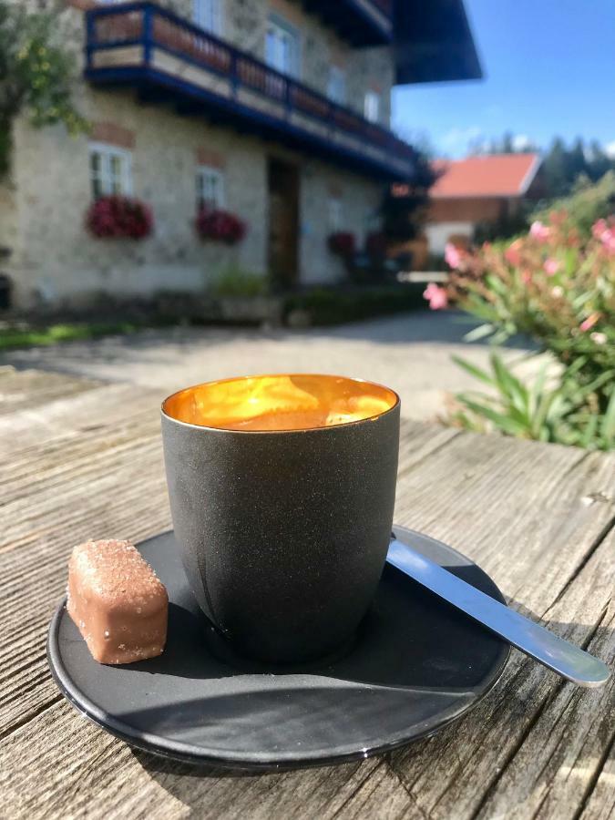 Haus Dreiseenblick - Adults Only Rimsting Exteriör bild